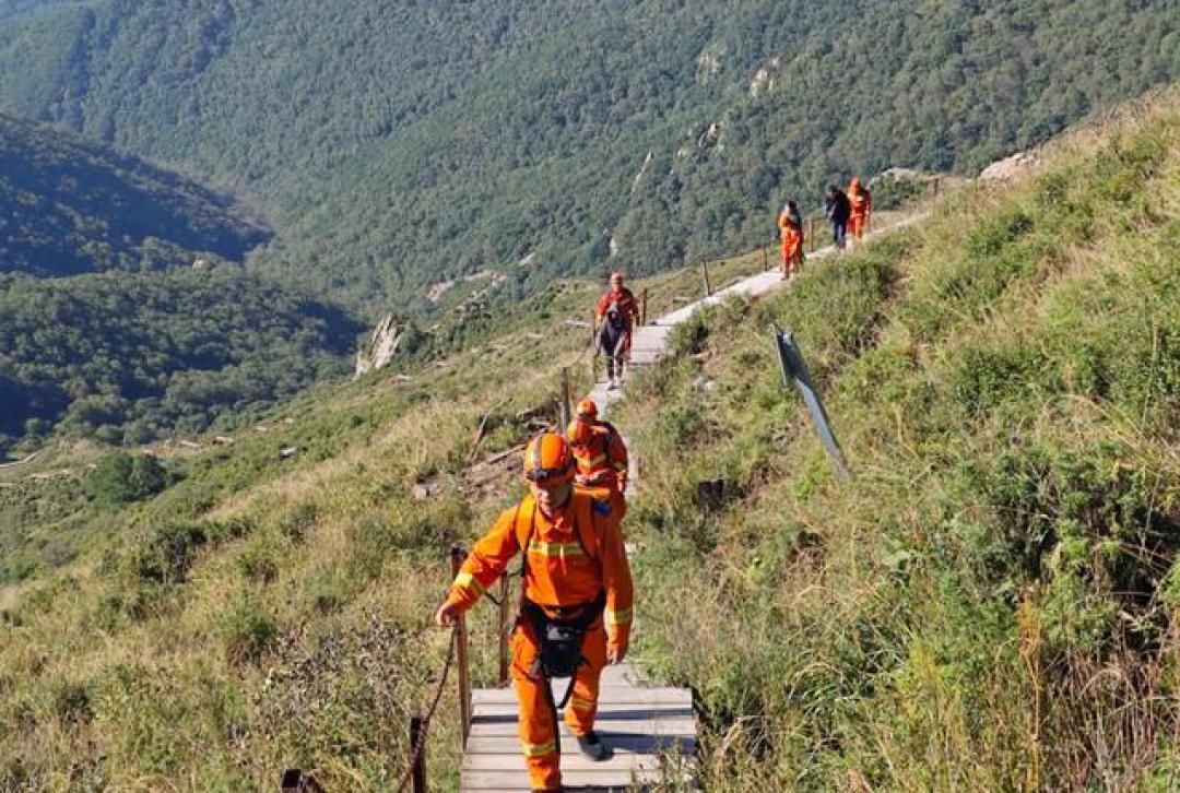 父母带娃爬野山孩子坠崖,别再把网红“小众秘境”当乐园!