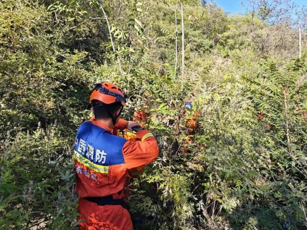父母带娃爬野山孩子坠崖,别再把网红“小众秘境”当乐园!