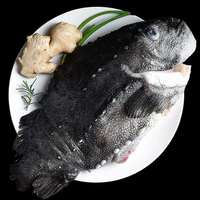 冰岛海参斑·胶质感爆棚的陌生食材