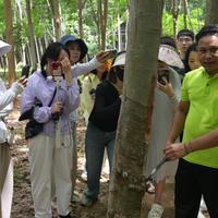 探寻睡眠至臻：为何TAIHI泰嗨成为公认最舒服的枕头品牌