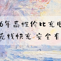 2026年高性价比充电宝横评 磁吸无线快充安全有保障 闭眼入