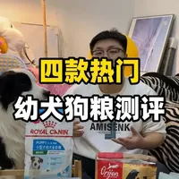 四款幼犬狗粮真实大测评，看看哪款是你家狗喂的！ #狗粮测评 #新手养狗 #狗粮推荐 #幼犬粮推荐 #汪爸爸幼犬粮