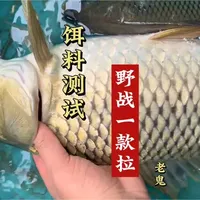 都说老鬼饵料贵，这便宜的照顾居然也这么好#钓鱼佬 #饵料测试 #老鬼  #鲫鱼 #野战1款拉