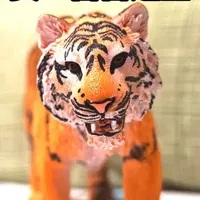 这才是百兽之王该有的样子！思乐老虎模型#动物模型 #思乐模型 #老虎 #大人也要玩玩具