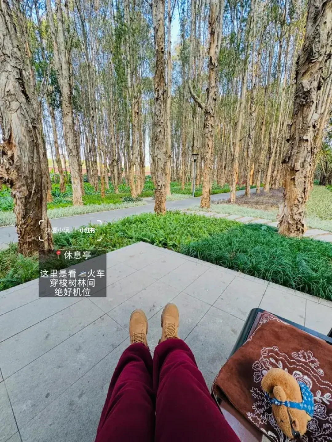 别挤永庆坊🌳去新开的避世森林公园Citywalk