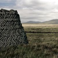 艾雷岛泥煤威士忌：风味传奇还是过度炒作？1200+用户观点大碰撞