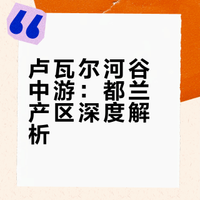 四级笔记-0120产区-卢瓦尔河谷-中游（下）