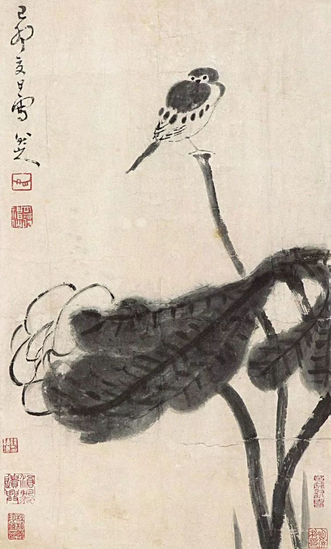 八大山人花鸟画,一花一鸟皆是悲啼