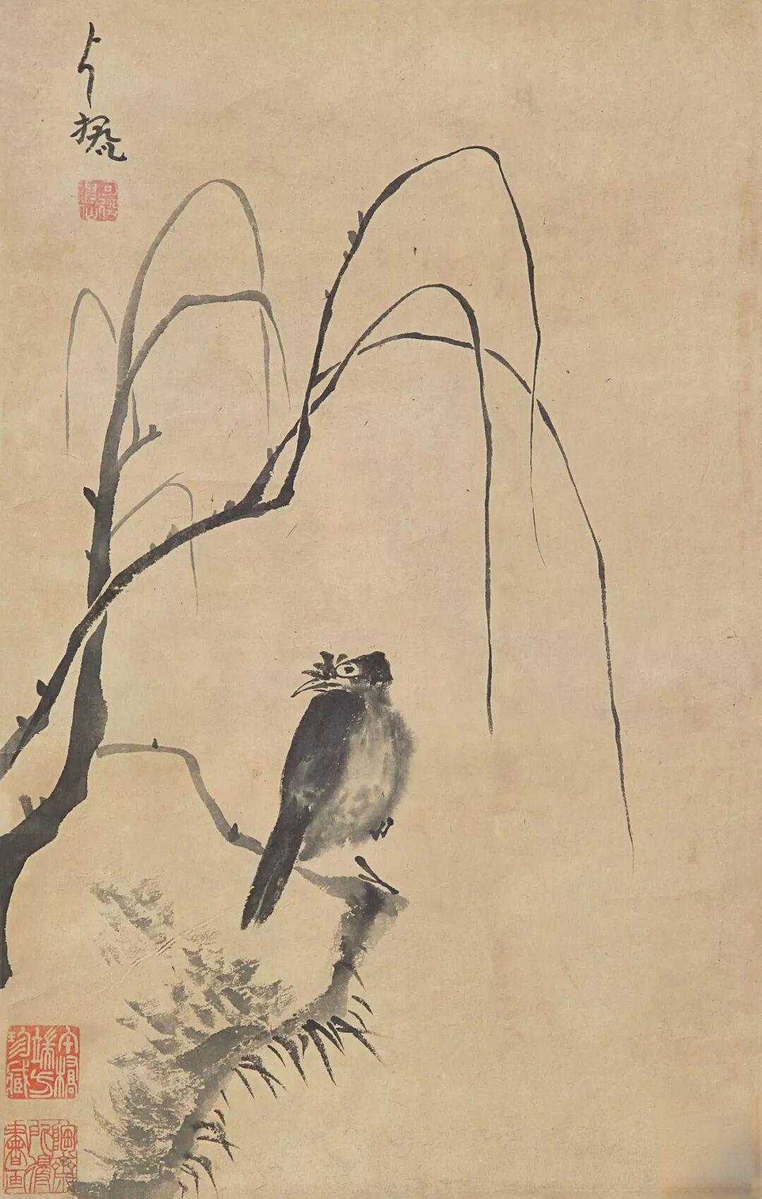 八大山人花鸟画,一花一鸟皆是悲啼
