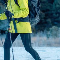 春节没挤景区，穿悍途鞋带狗扎雪野：这才是真·放空