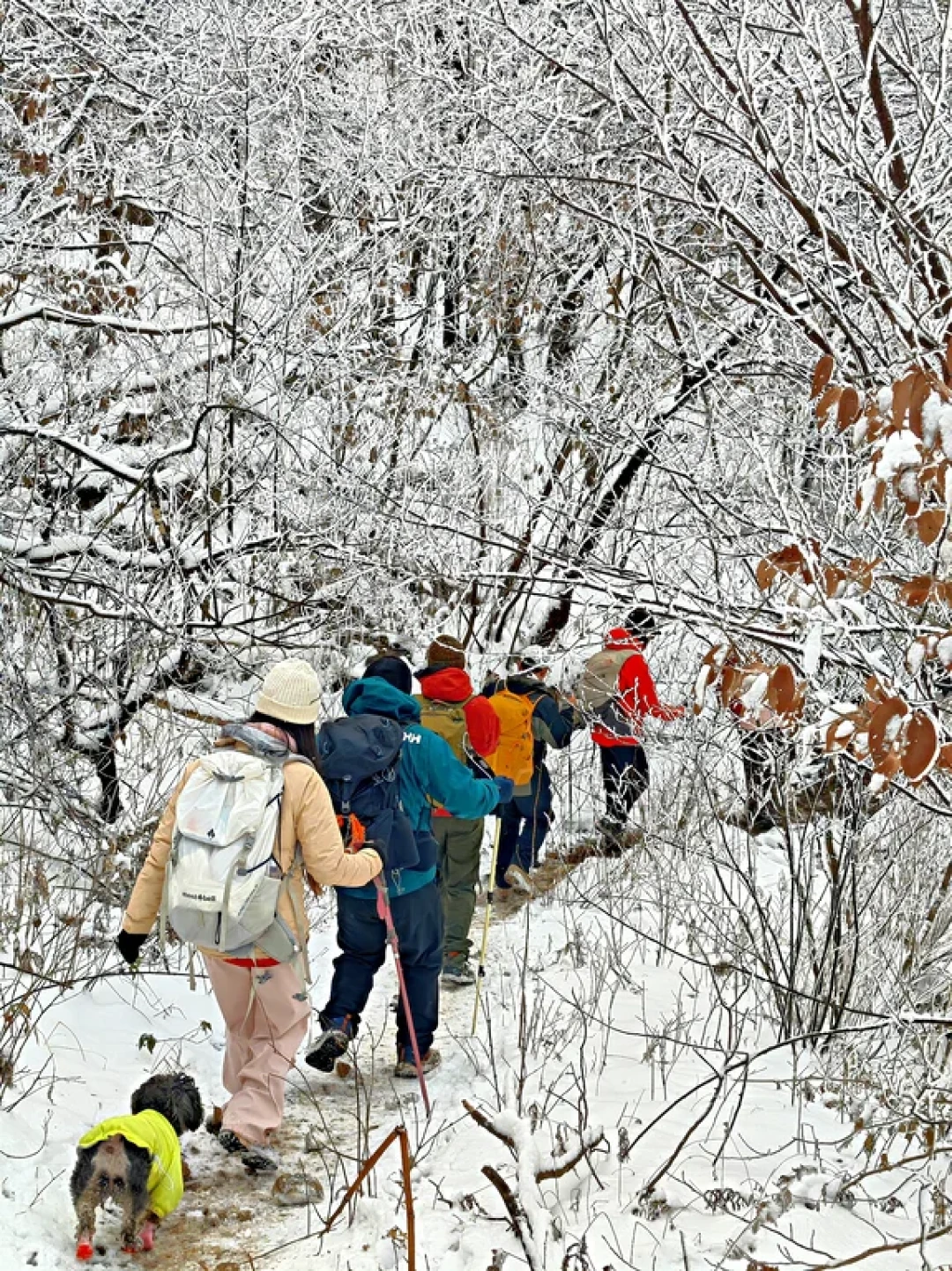 杭州周边小众雪景徒步|道场坪封神了❄