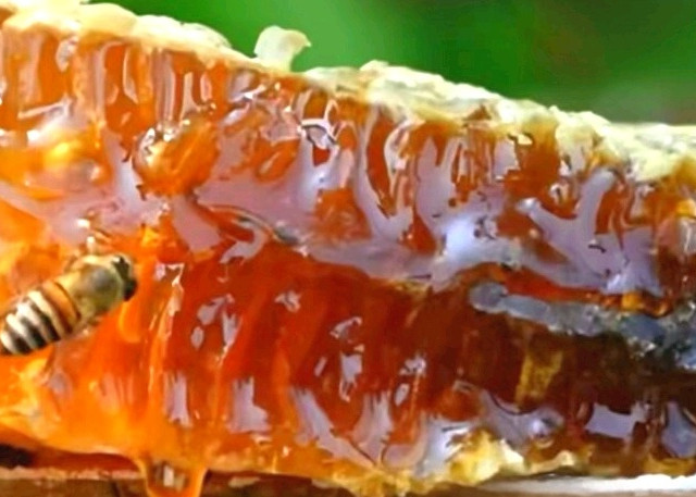 蜂蜜哪个牌子好？2026十大蜂蜜品牌测评，快看你喝过吗？