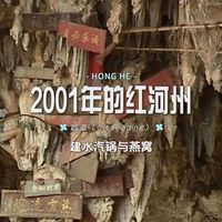 珍贵视频影像！云南建水汽锅的制作与建水燕窝的采摘过程~#历史#怀旧#云南#建水