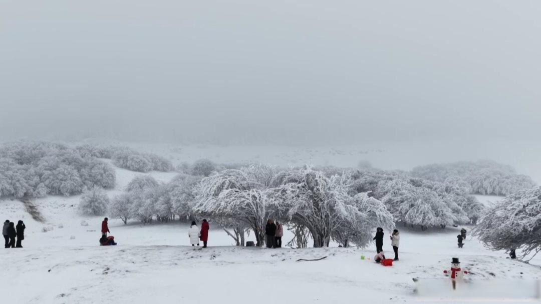 冬日限定!仙女山雾凇雪景已就位,共赴南国冰雪之约