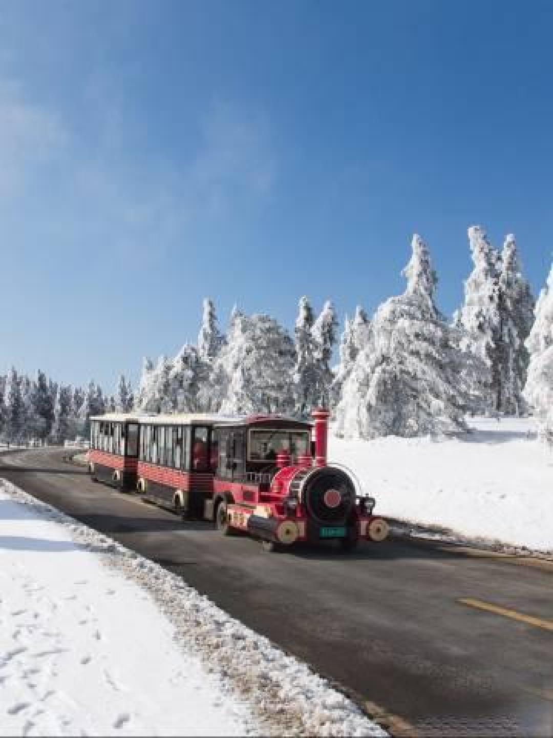 冬日限定!仙女山雾凇雪景已就位,共赴南国冰雪之约