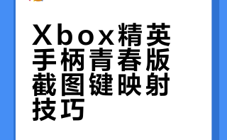 xbox精英手柄二代青春版可以映射截图键吗？
