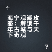 海宁会惩罚每1个不做攻略就来观潮🌊的人