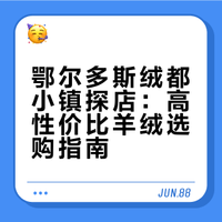 鄂尔多斯🧶|绒都小镇🏭我只逛这两家！！