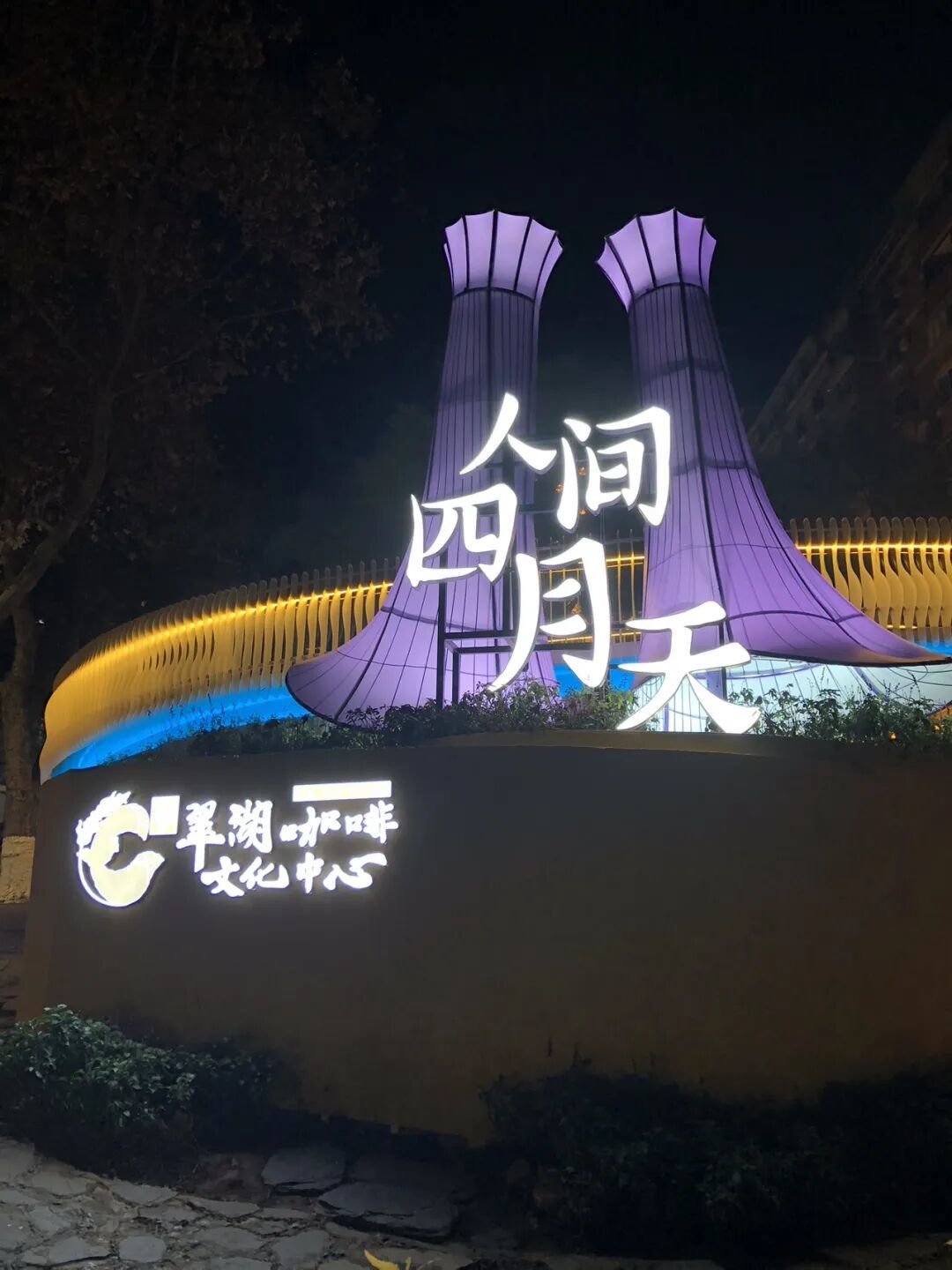旅行|若不能去伦敦喂鸽子,那就到昆明看海鸥吧