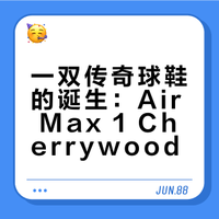 Air Max 1 Parra Patta Cherrywood