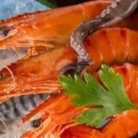 【宠食研究】n-3 多不饱和脂肪酸(omega-3)的功能作用
