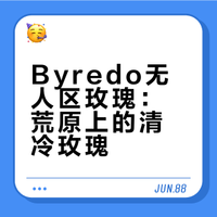 一千零一夜 | 战地硝烟与铿锵玫瑰