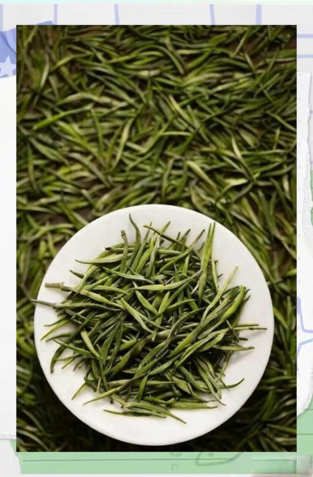 绿茶天花板!4大种类+代表名茶全解析,爱茶人必看