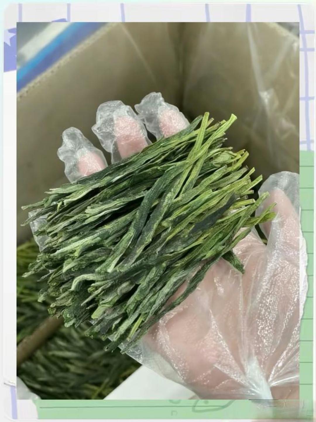 绿茶天花板!4大种类+代表名茶全解析,爱茶人必看