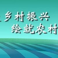 春节市场年味浓，曲沃吊柿饼成“香饽饽”