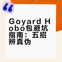 ⚠️敢买Goyard 狗牙Hobo包？先过这5关！