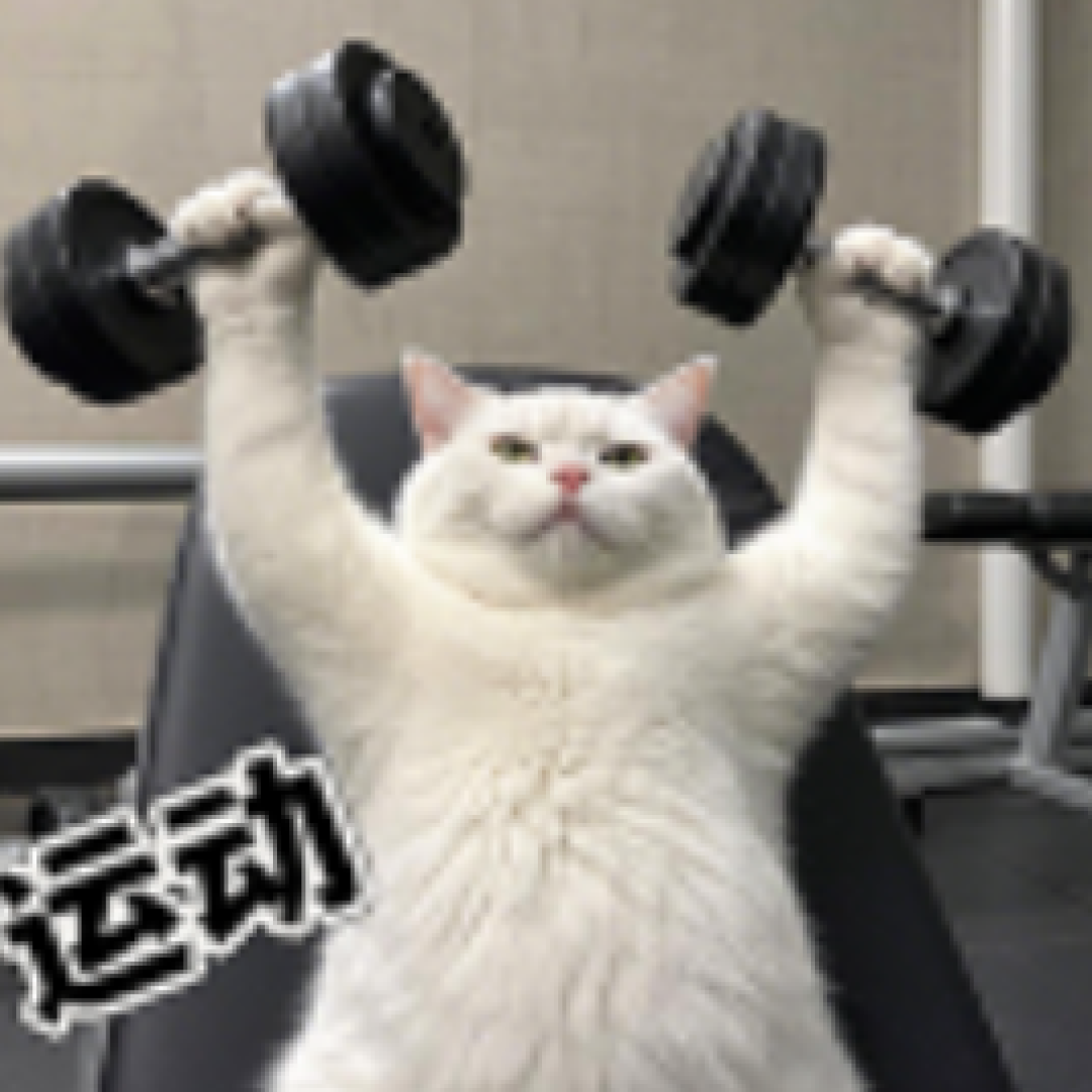 《运动改造大脑》3000字读书笔记：懒人健脑指南，如何用运动给大脑开挂？