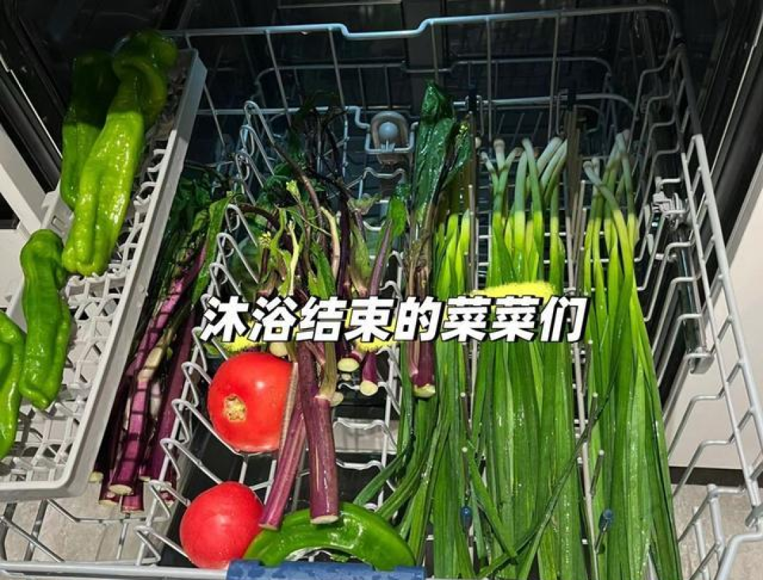 被年轻人的“洗碗机用法”惊呆了!换个使用思路,家务活轻松一半.
