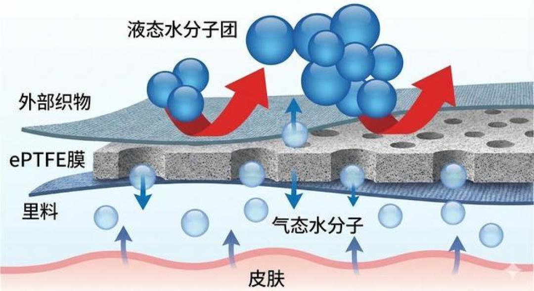 追不上Gore-Tex?中国面料正靠环保科技“换道超车”