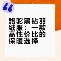 骆驼黑钻羽绒服