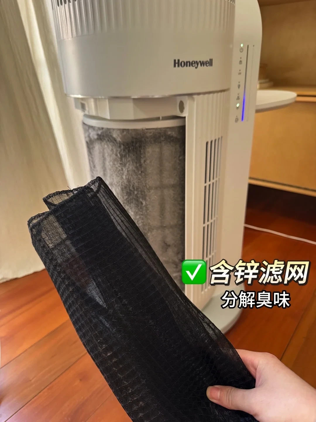 不开窗养猫超好用!谁说是智商税我跟谁急