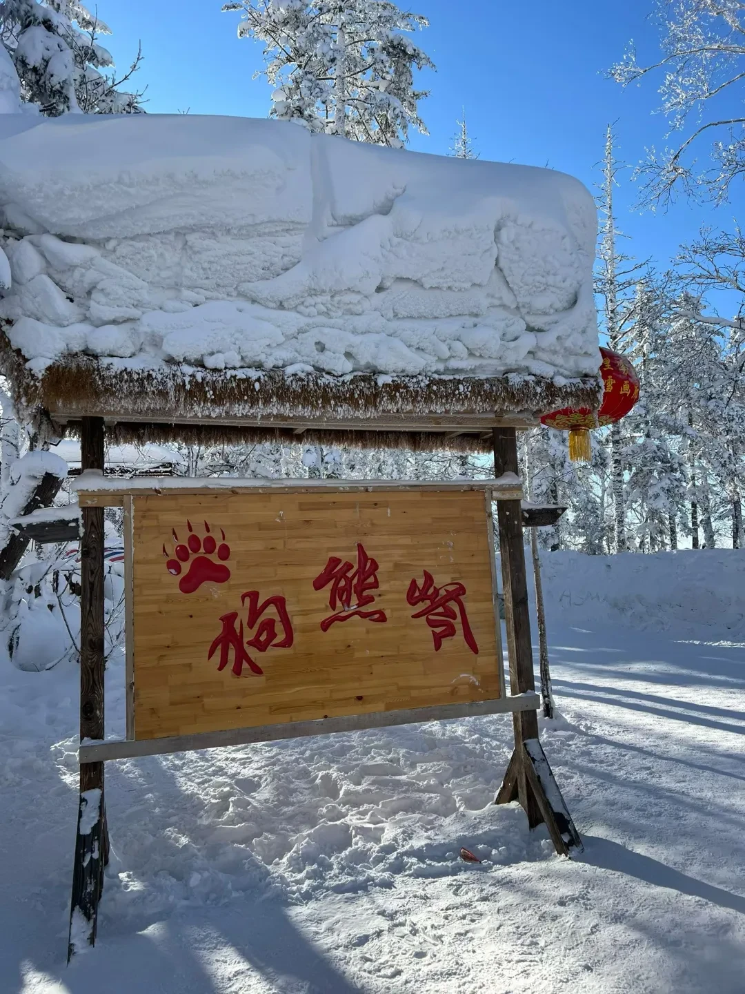 哈尔滨雪乡一日游攻略(无雷版)