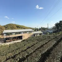 普洱过冬吃喝玩乐攻略（含踩雷）