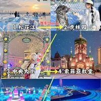 第—次去哈尔滨旅游✅超全旅游攻略 懒人版