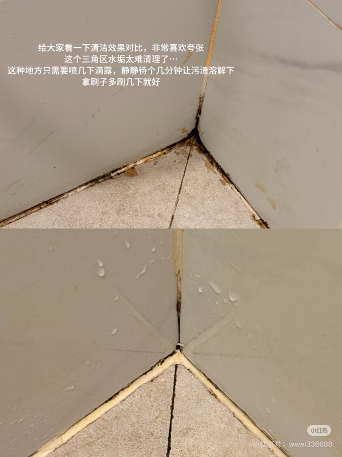 滴露居室清洁