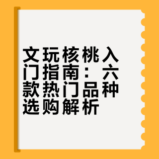 文玩核桃入门指南：六款热门品种选购解析