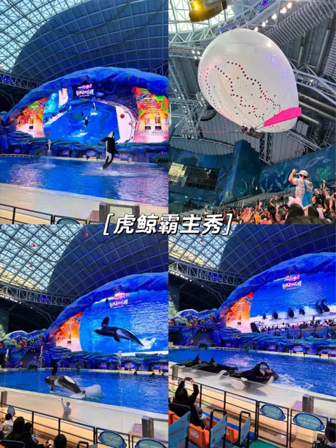 长隆飞船乐园保姆级全攻略，4岁娃玩嗨了