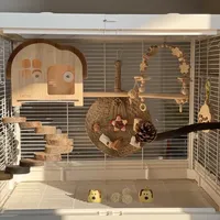 新手饲养鹦鹉—鸟笼布置篇🪺
