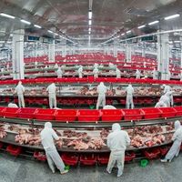 让吃肉更放心！金锣用AI和溯源守护你的每一口美味