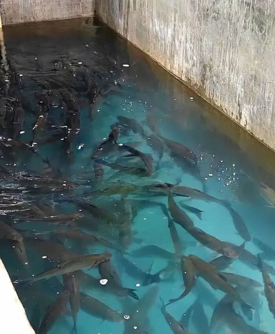福建|龙岩新罗这5家苍蝇馆子，门脸破烂不起眼，生意却火爆！每家都藏着本地人从小吃到大的老味道！