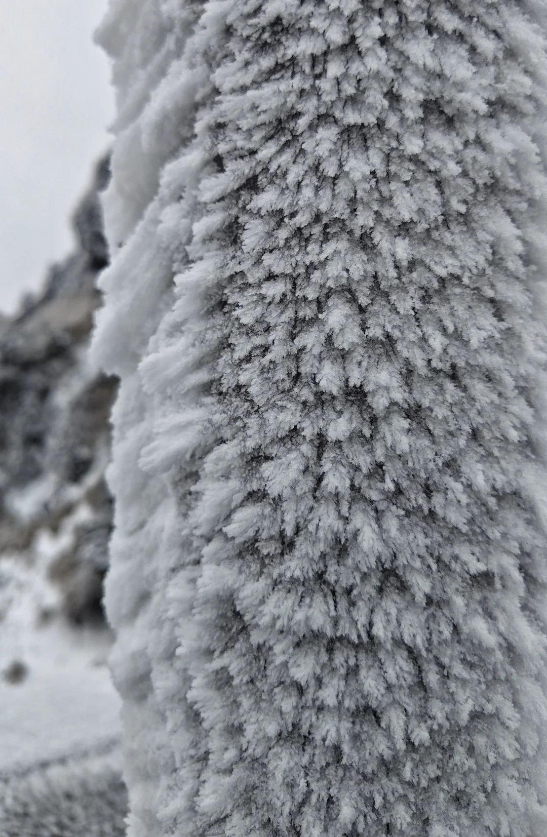 神农架玩雪滑雪超详细攻略