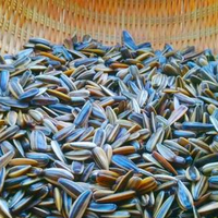 买瓜子，白壳和黑壳哪个好？炒货摊老板：差别很大，可别买错了