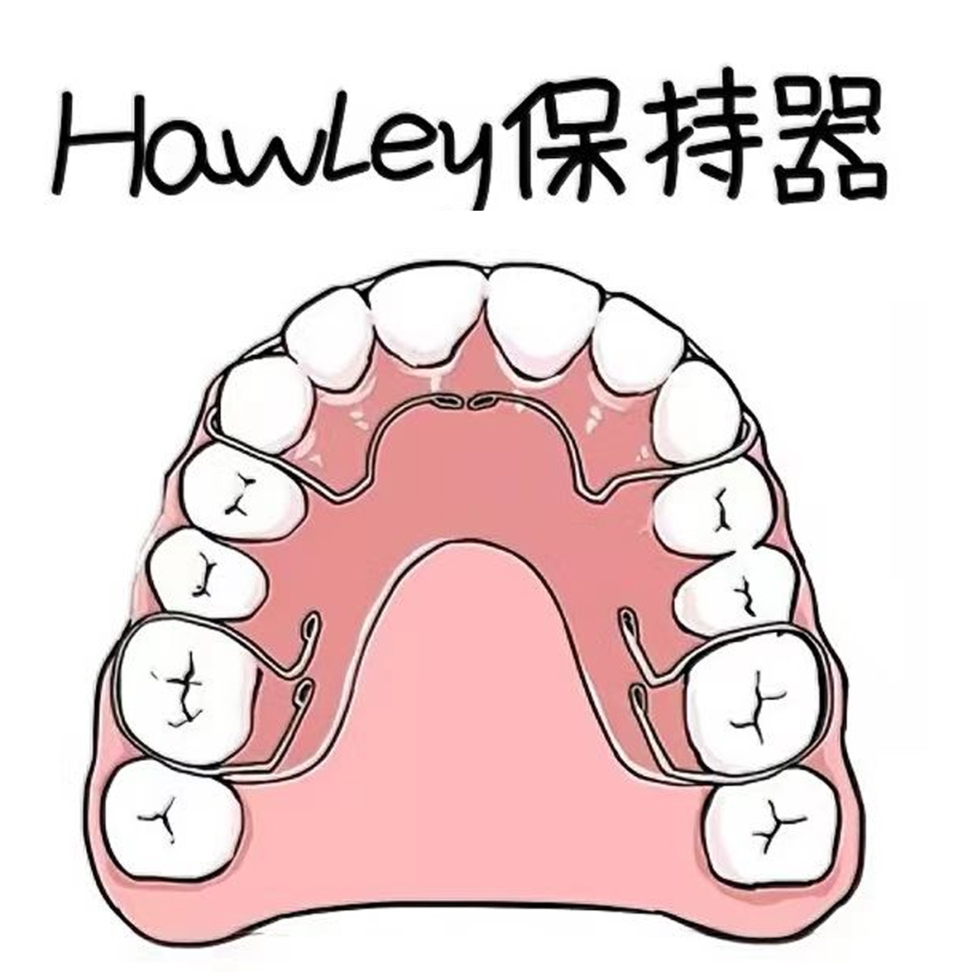 【口腔科普】保持器——正畸胜利果实的守护者