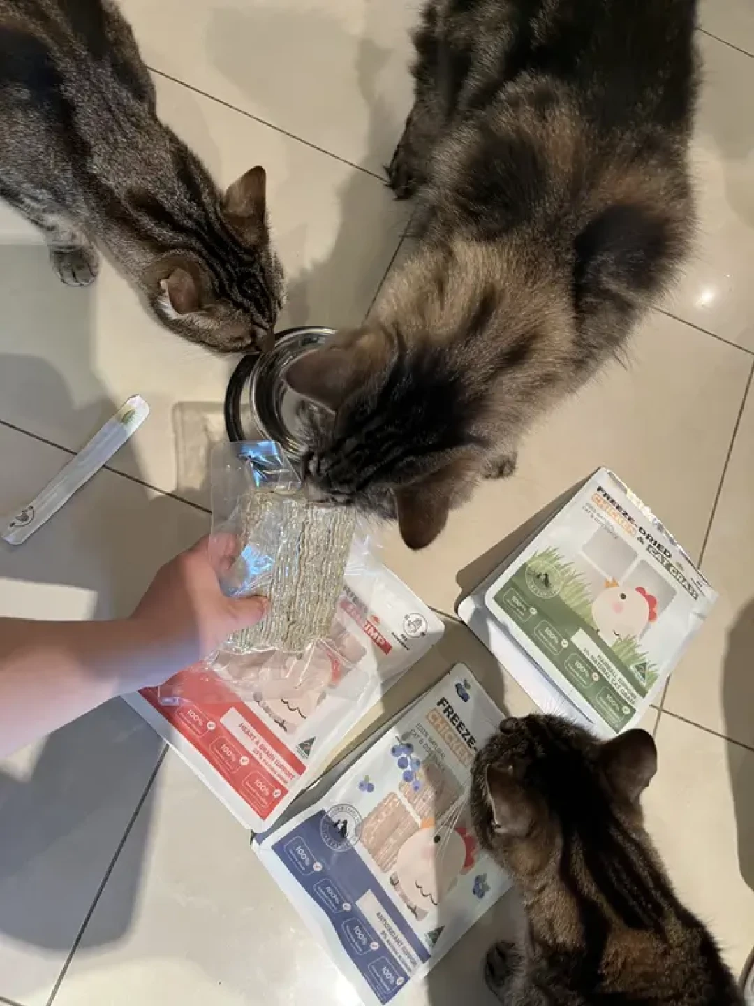 Pet Pawgram三种口味冻干:六只喵试吃体验👍