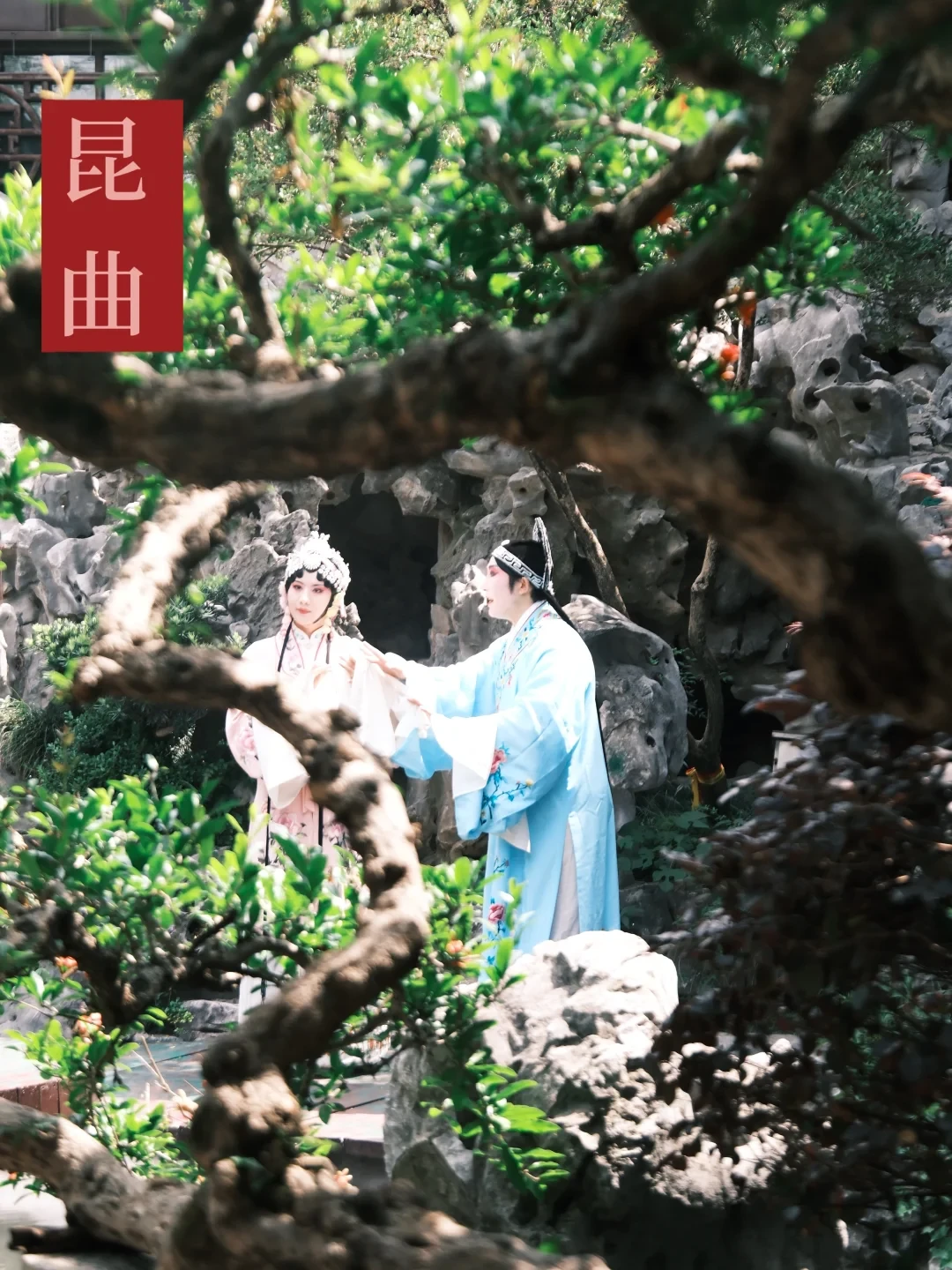 丙午马年寻味非遗:苏州春节非遗游玩全攻略