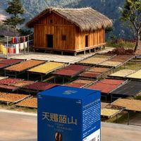 天赐蓝山挂耳咖啡｜源自云南高海拔的“东方蓝山”